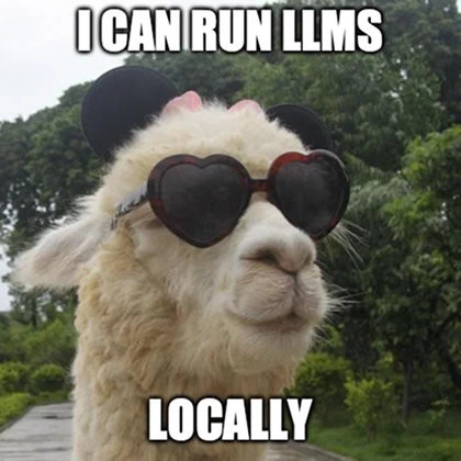 LovelyLLama.jpg