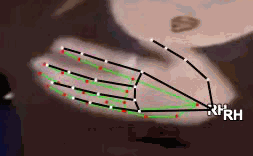 5a0cea2be39c.gif