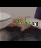 bf4d865d73f8.gif