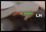 3a5d0d3ae0c8.gif