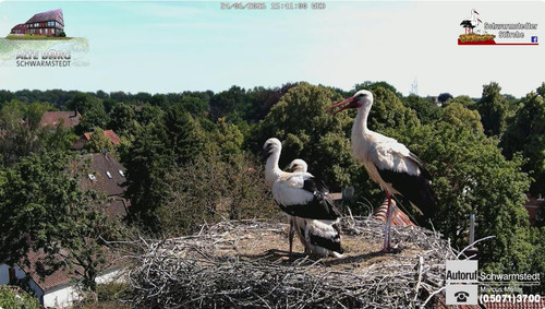 MWSnap346.jpg