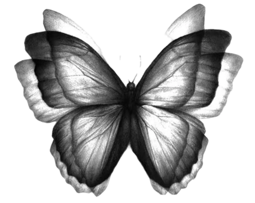1000012646.png