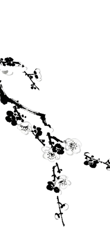 1000012701.png
