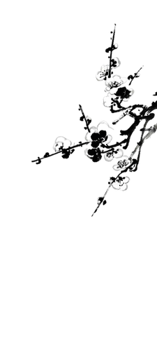 1000012703.png