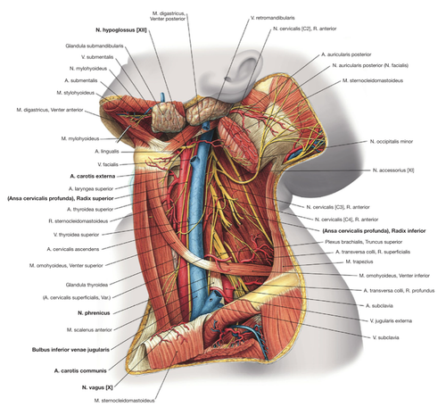 3ab453914d6f.png