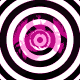 mup5b12tv07f1 Original.gif