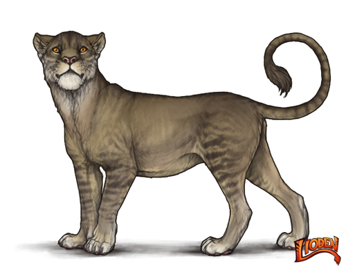 lioden wardrobe (1).png