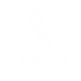 IMG 20260624 153730