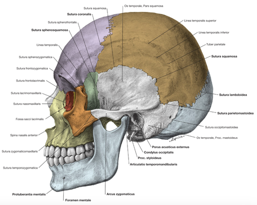 6708ea105584.png