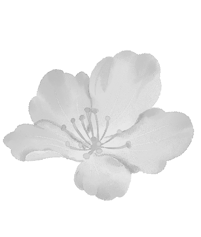 1782369570516.png