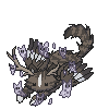 cat selected (1).png