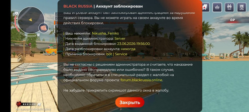 1000013784.jpg
