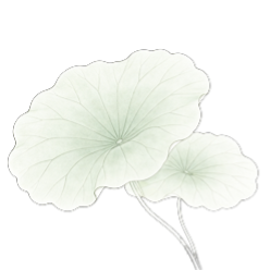 青绿荷叶2.png