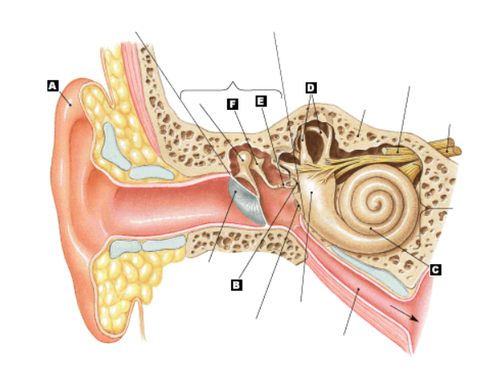 d1826de4f402.png