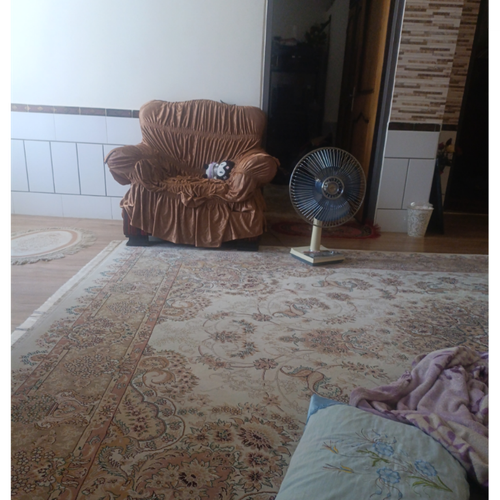 temp.png