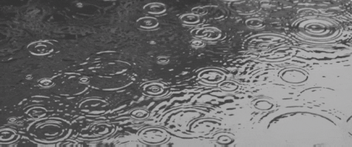 Image 1782308088390 537.gif