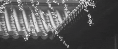 Image 1782308083086 642.gif