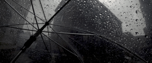Image 1782308072157 664.gif