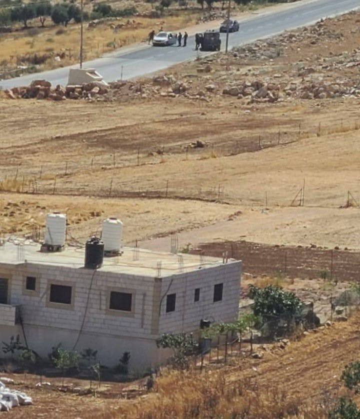 صورة الخبر