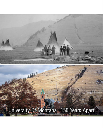 2 images (2).png
