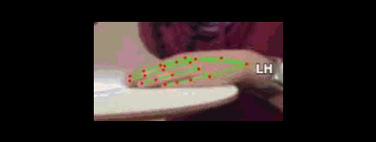 3e0513eb61d8.gif