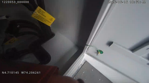 9181220053@2026061610530200 mp4 20260624092242.png