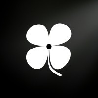 ansvisor logo.jpg