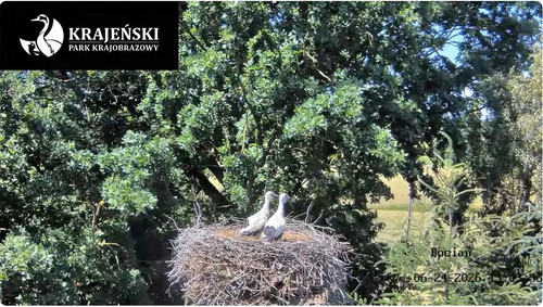 MWSnap101.jpg