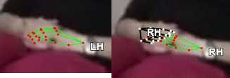 51ee09e33d96.jpg