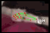 4fe6a9cc9e45.gif