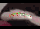 11888c09bb36.gif