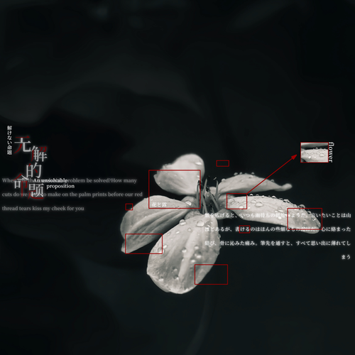 IMG 6903.png