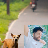 temp.png