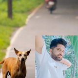temp.png