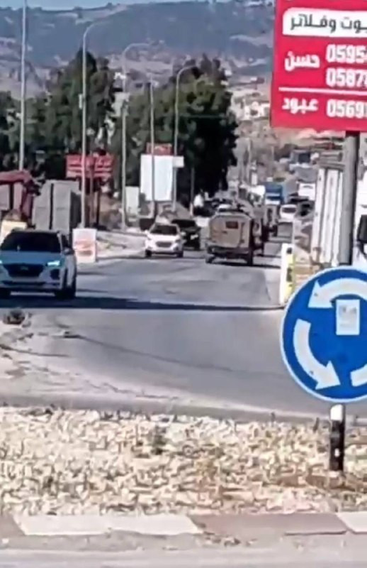 صورة الخبر