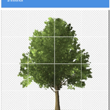 Captura de tela 2026 06 24 120032.png
