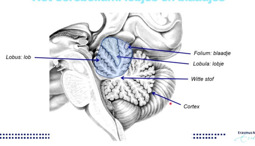 f562015d3941.jpg