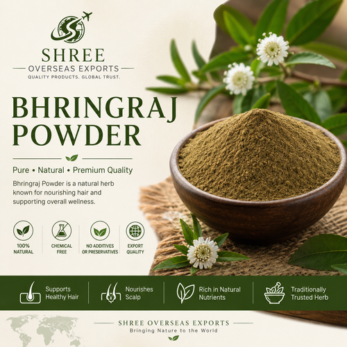 Premium Bhringraj Powder Manufacturer Delivering Quality Herbal Solutions for Global Businesses.png