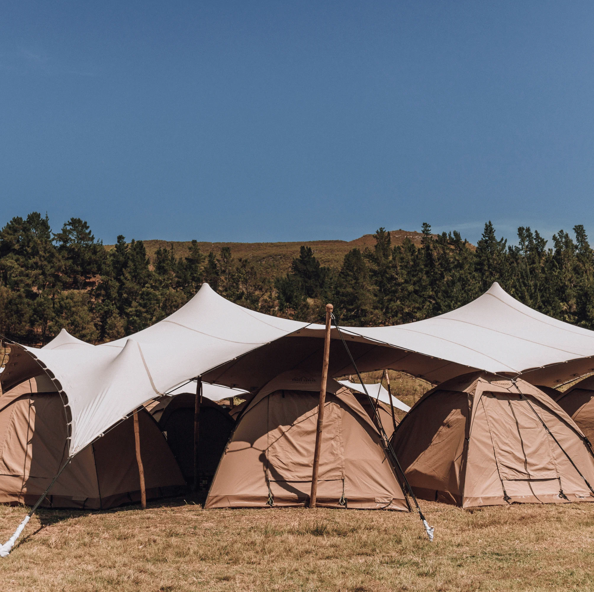 Shaded Deluxe Dome