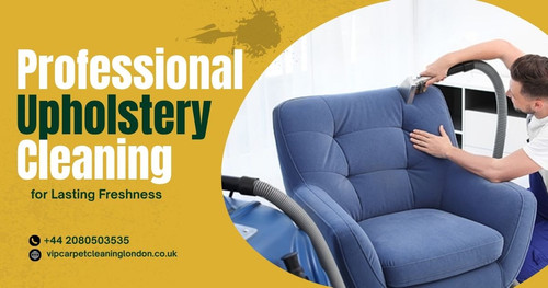 Professional Upholstery Cleaning for Lasting Freshness.jpg