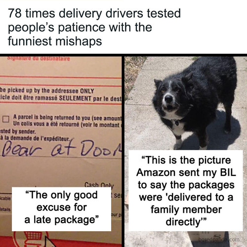 funny delivery package fails.jpg