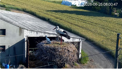 MWSnap514.jpg