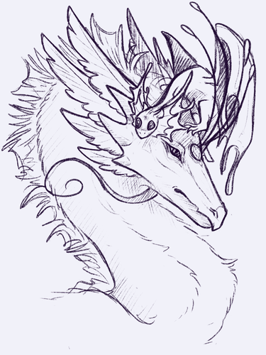IMG 2020.png