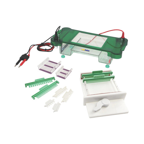 LabDex Horizontal Electrophoresis Unit.jpg