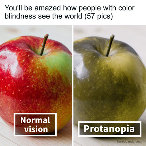 different types color blindness photos.jpg