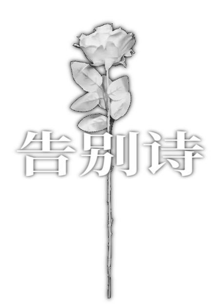 5dd8f9007c11.png