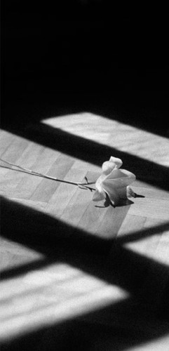 490ca71523c1.jpg