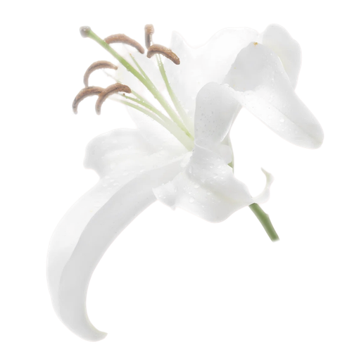 d1f5a1740edf.png