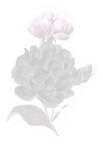 be1400d83909.png