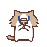打理